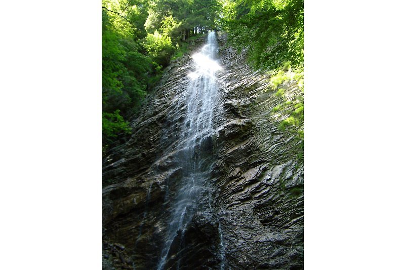 Wandern Sie zu einem Wasserfall nahe Bettis Bungalow