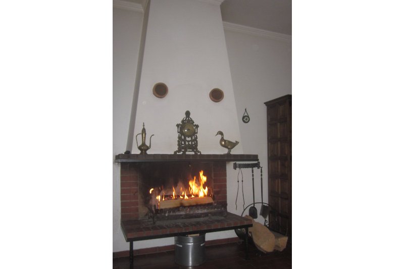 Gemütliches Wohnzimmer mit Holzfeuer, Kamin und rechteckigem Raum.