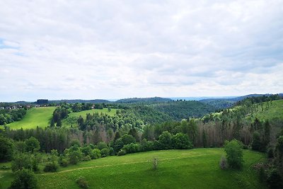 Fewo Harz Hohegeiß 565