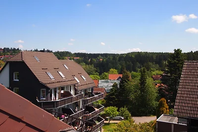 Appartamento di vacanza Schimmer Wurmbergblick