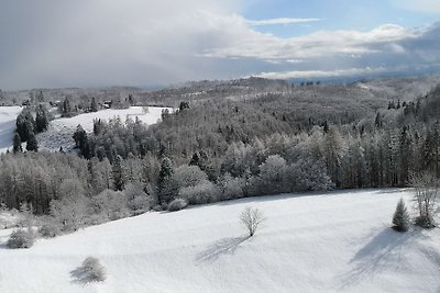 Fewo Harz Hohegeiß 565