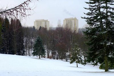 Ferienapartment mit Bergblick