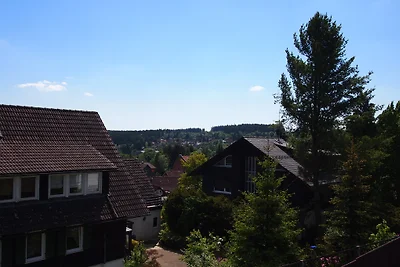 Appartamento di vacanza Schimmer Wurmbergblick