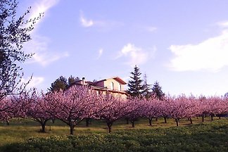 Villa Podere Costantino