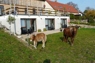 Apartment in Carwitz