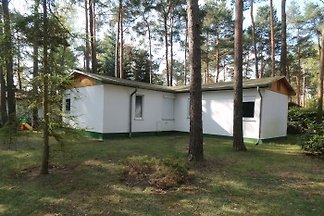 Kieferntraum - Ferienbungalow