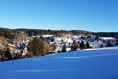 Ferienhaus Mey