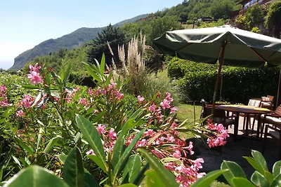 Casa Due