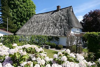 Familienurlaub "wie früher"