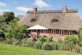 Steernkiekers Hus