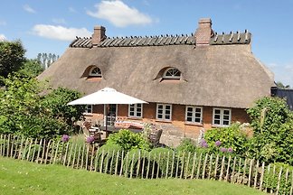 Steernkiekers Hus