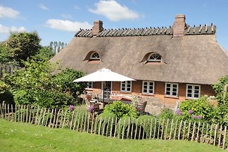 Steernkiekers Hus