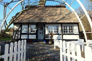 Ferienhaus Rikate*****