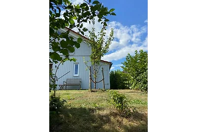 Vakantiehuis Ontspannende vakantie Bohnert
