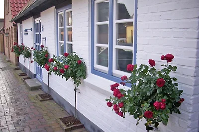 Rose House****