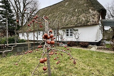 Landhaus zur alten Kastanie