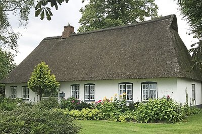 Blaue Käsekate
