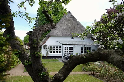 Casa vacanze Vacanza di relax Kosel