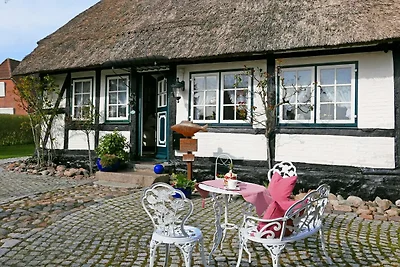 Ferienhaus Rikate*****