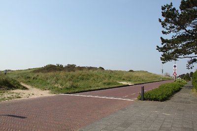 De Duinen