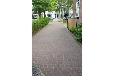 de Duinen