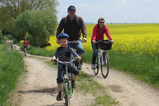 Apartament Ferienhaus Weidemeier