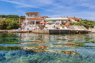 Vanessa c Mali Iz Dalmatia