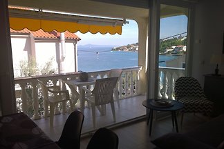 Vanessa c Mali Iz Dalmatia