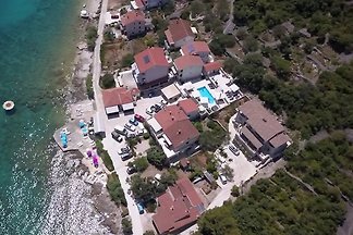 Vanessa c Mali Iz Dalmacije