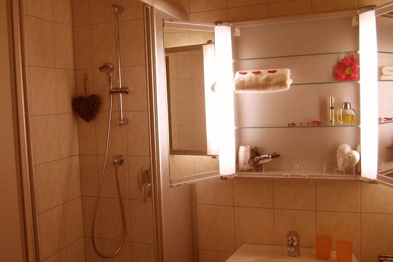 Badezimmer mit Kosmetikspiegel,Fön,DU/WC