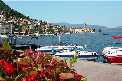 Alla Fonte