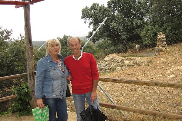 Frau G. Volpe Frau G. Volpe