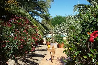 Ferien zwischen Golfplatz und Meer