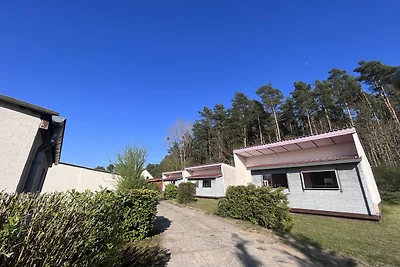 Ferienhaus Sommerland