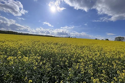 Ferienhaus Sommerland