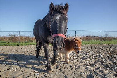 Buitenplaats Oudendijke, 4 Persons