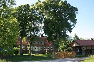 Gutshaus Thurow Fewo Linden