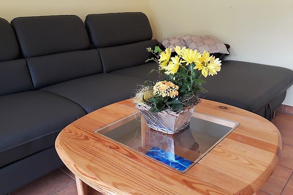 Ferienhaus - Am Seeufer - in Waren (Müritz) - Firma Ferienwohnungen am