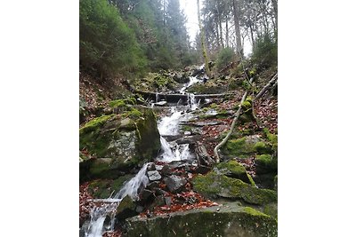 Casa di vacanza Glück-Auf a Lautenthal