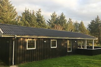 Ferienhaus Saltum Strand