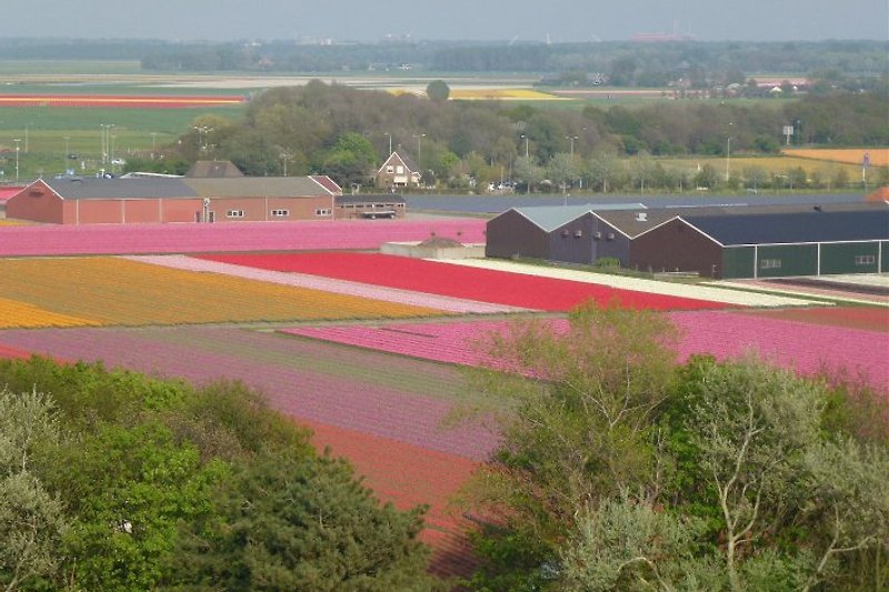 Egmond aan den hoef in Frühjahr