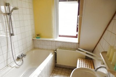Ferienhaus Brands