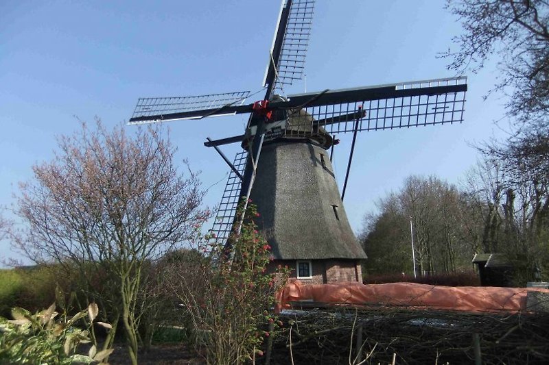 Was wäre Holland ohne Windmühlen?