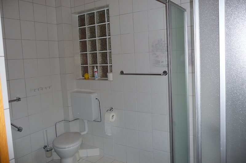 Baño con ducha en la planta baja con inodoro, lavabo con armario de espejo de aluminio.