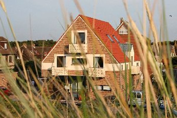 SonnenDüne_ap .***** Sonnenklang à Norderney - Image 1 SonnenDüne_ap .***** Sonnenklang à Norderney - Image 1