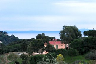 Le Nocciole, villa isola d'Elba