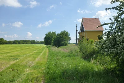 Bahnhof Harpe - Bel Etage