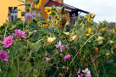 Bahnhof Harpe - Harper Weitblick