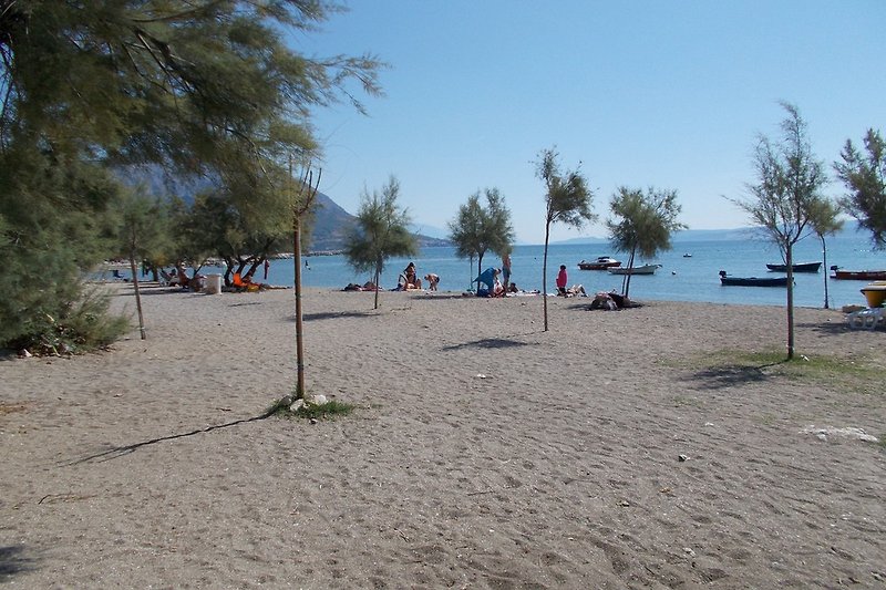 Apartments are only 50 meters from the beautiful sandy beach.