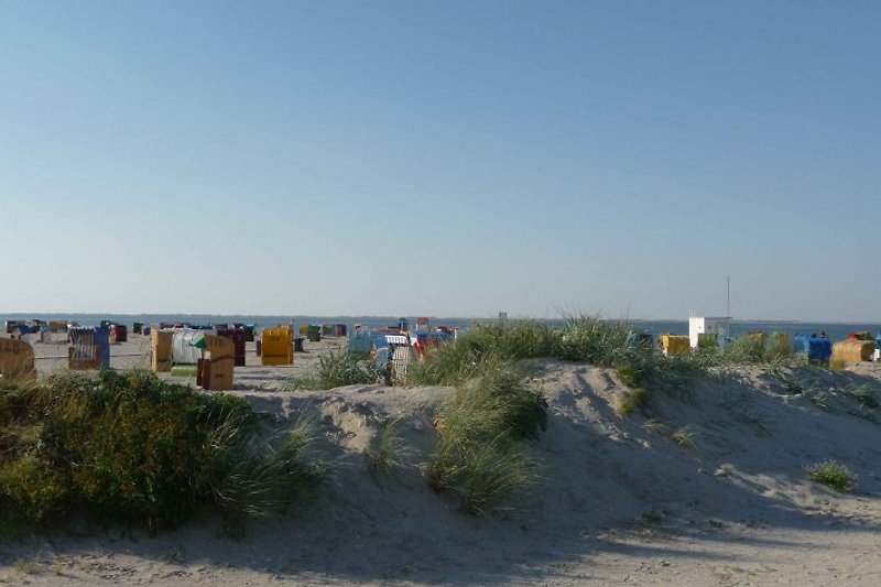 Section of Neßmersiel beach